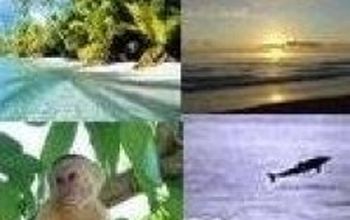 Compare Reviews, Prices & Costs of Dermatology in Costa Rica at Surgery Costa Rica | M-CO3-23