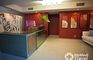 Dr. Gustavo Almanzar Plastic Surgery Clinic