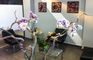 Dental Care Marbella