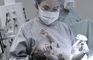 Prof Dr Nilgun Turhan